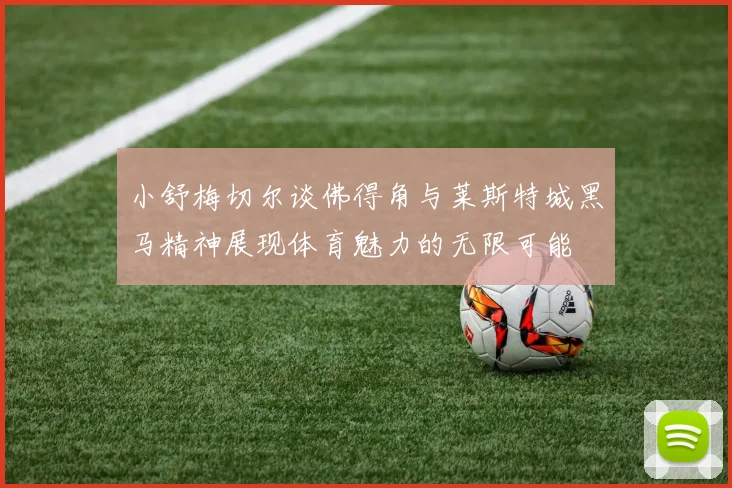 小舒梅切尔谈佛得角与莱斯特城黑马精神展现体育魅力的无限可能